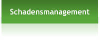 Schadensmanagement